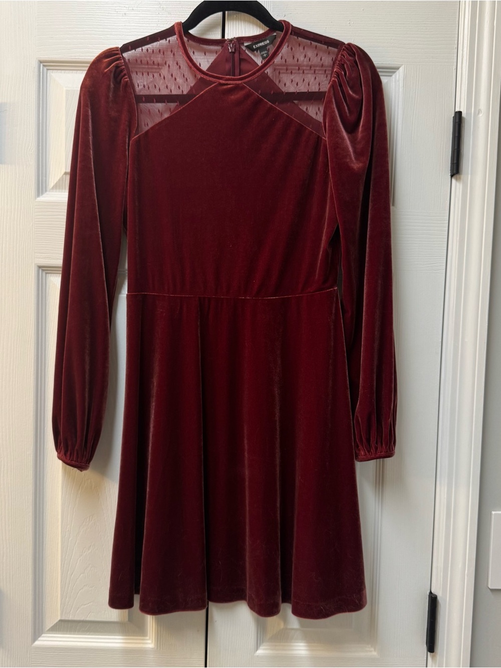 Express velvet dress
